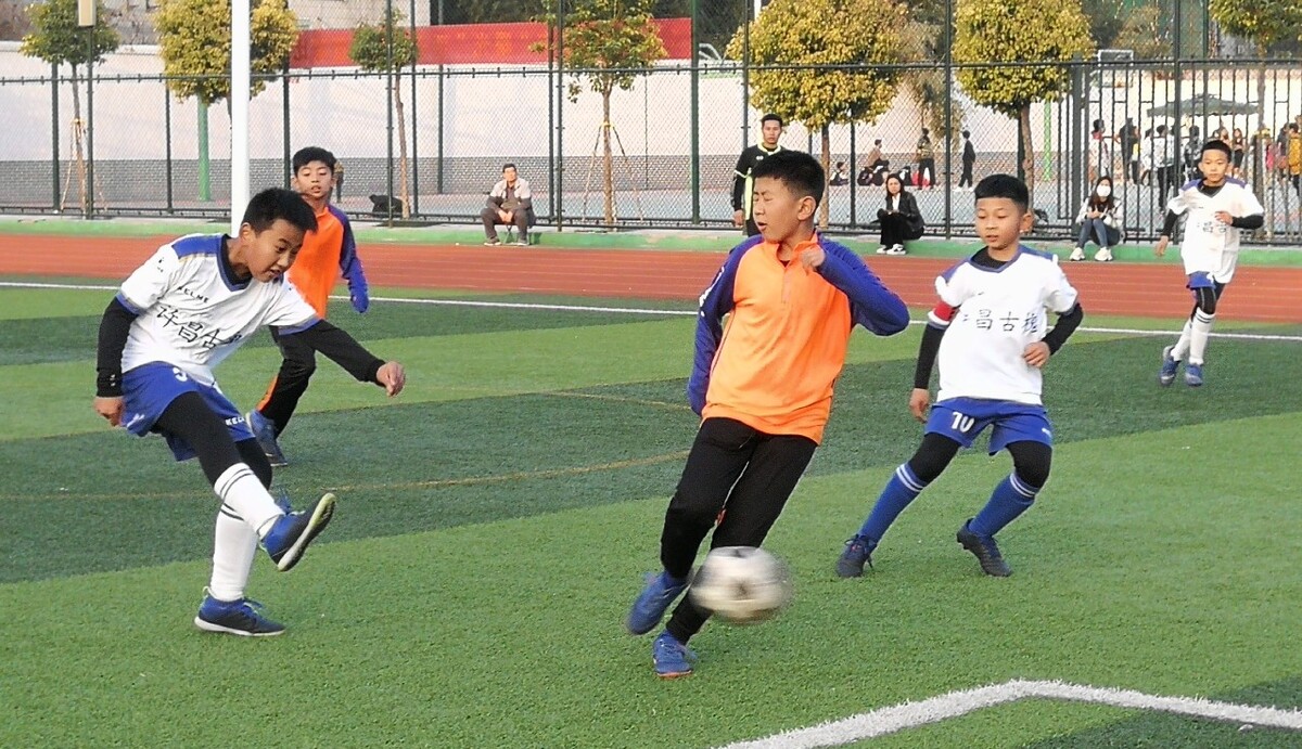 而是可以通 而是可以通